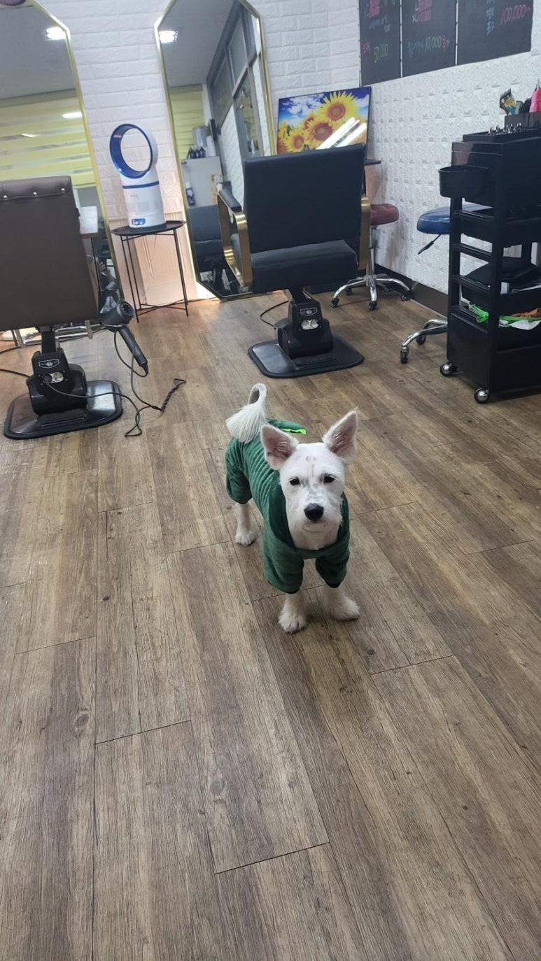혜전대미용실 이미지