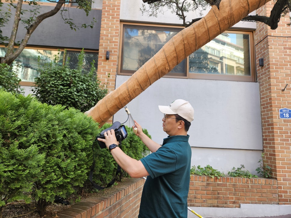 세이브트리엑스퍼트 이미지