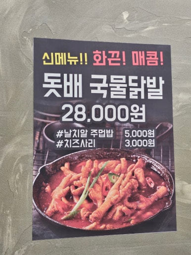 돗배갈매기 이미지