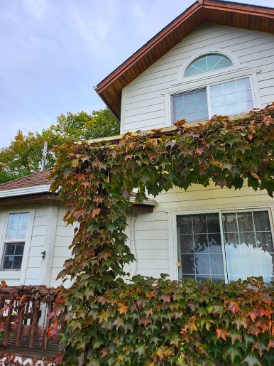 단양숲속의정원펜션 이미지