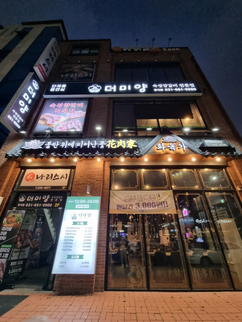 더미양 이미지