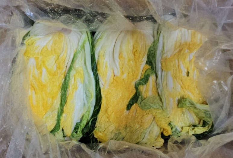 괴산클라스 영농조합법인 이미지