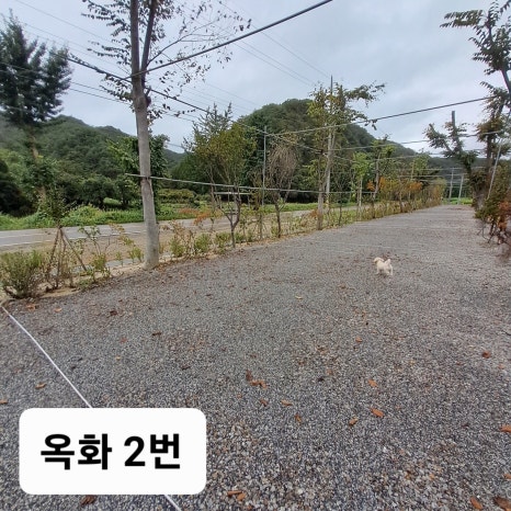 옥화포시즌캠핑장 이미지