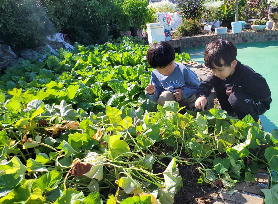 성진농산물 이미지