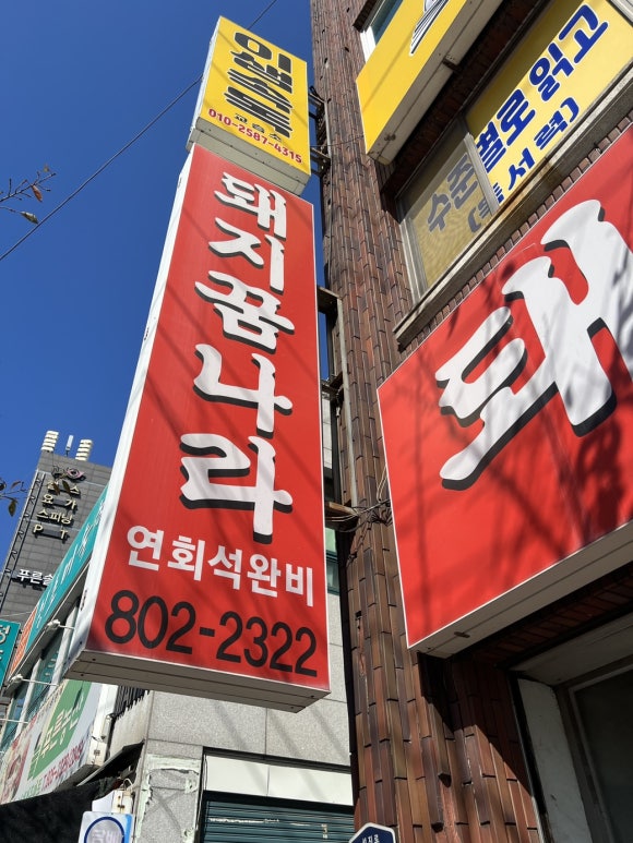 돼지꿈나라 이미지