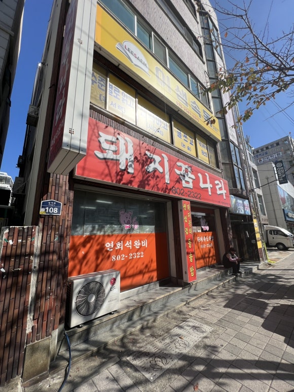돼지꿈나라 이미지