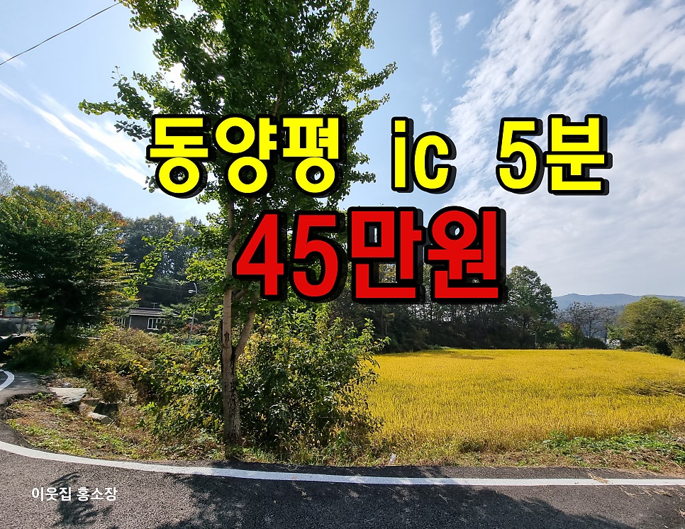 양동농협하나로마트 이미지