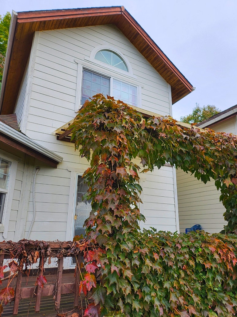 단양숲속의정원펜션 이미지