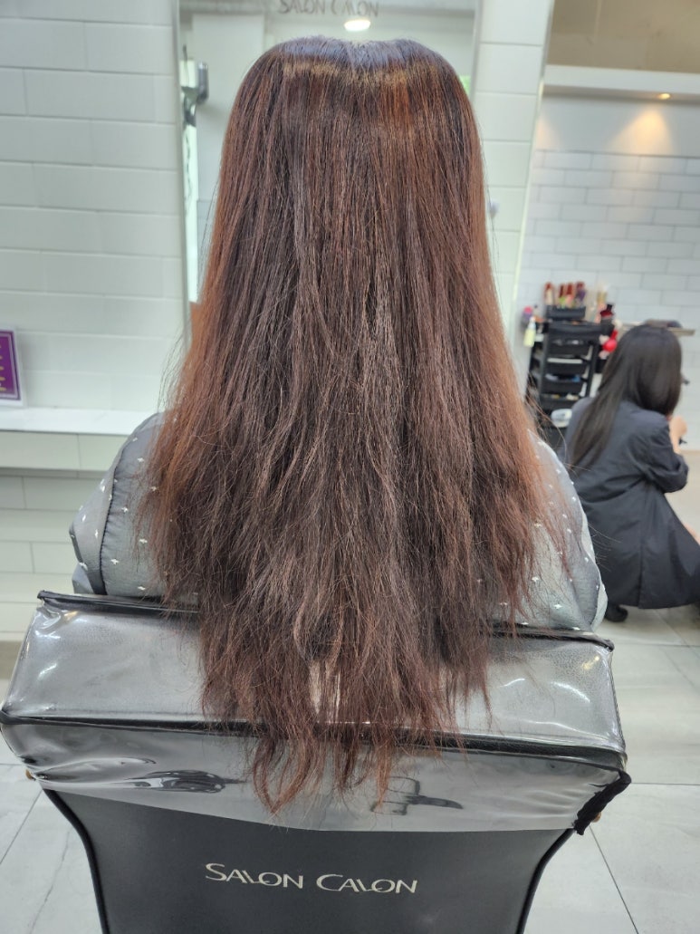 리아살롱 이미지