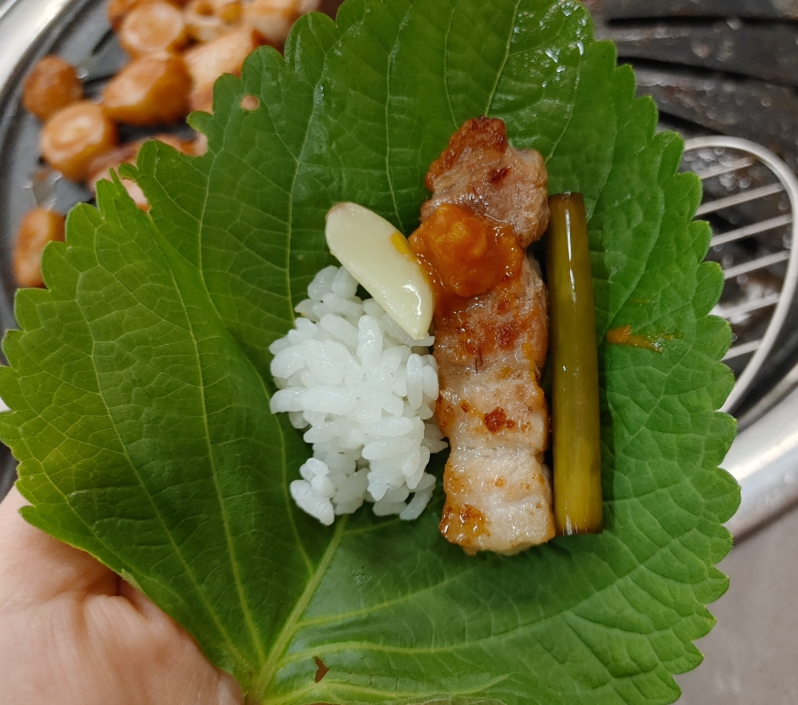 두류돈 이미지