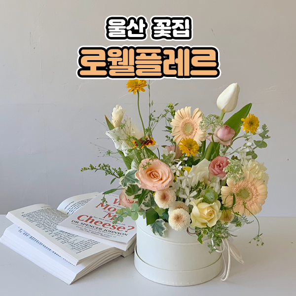 로웰플레르 이미지