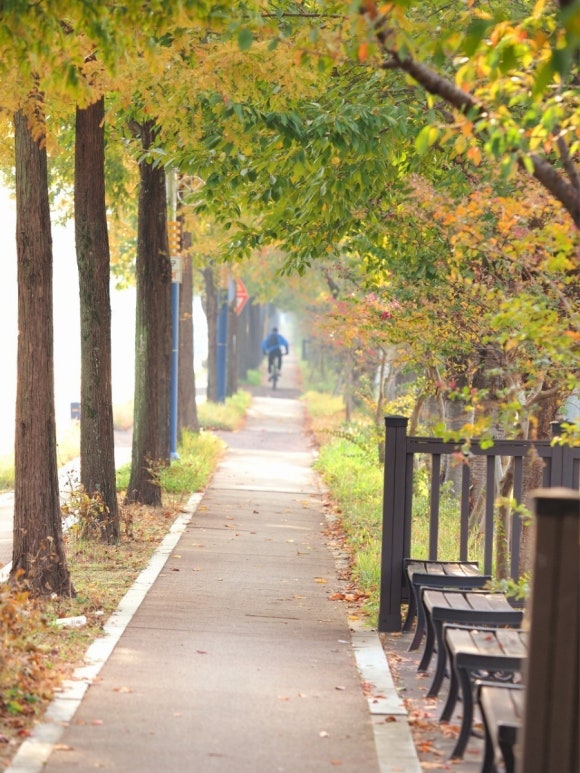 춘화식당 이미지