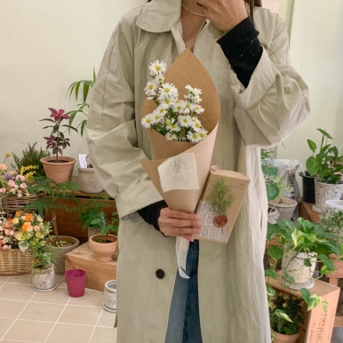 일로브 이미지