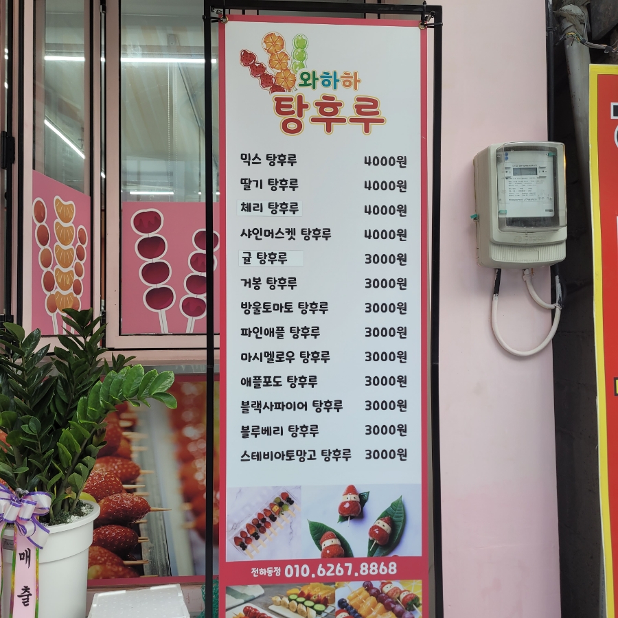 와하하탕후루 이미지