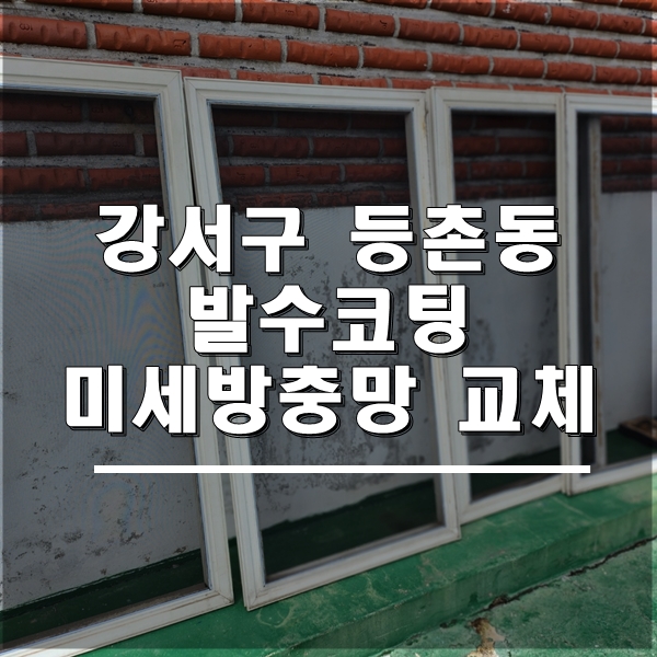 클린초이 이미지