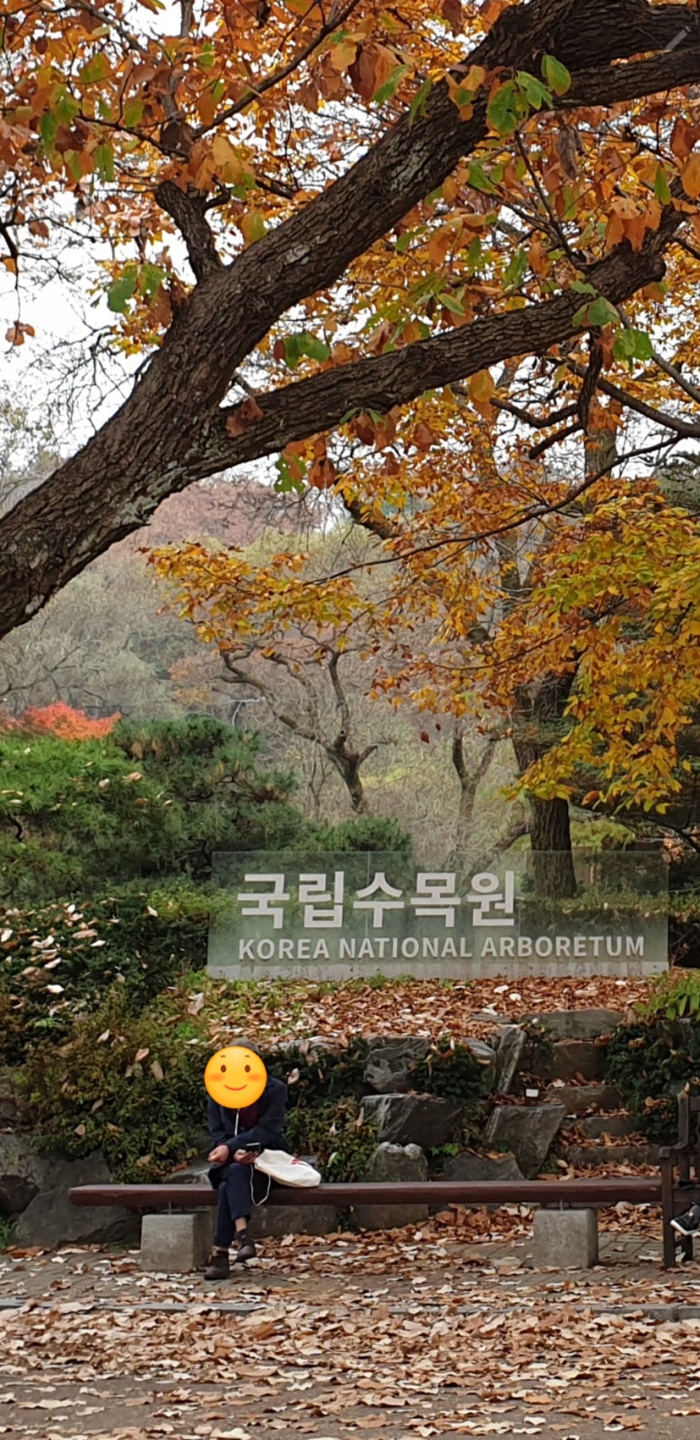 일류식물원 이미지