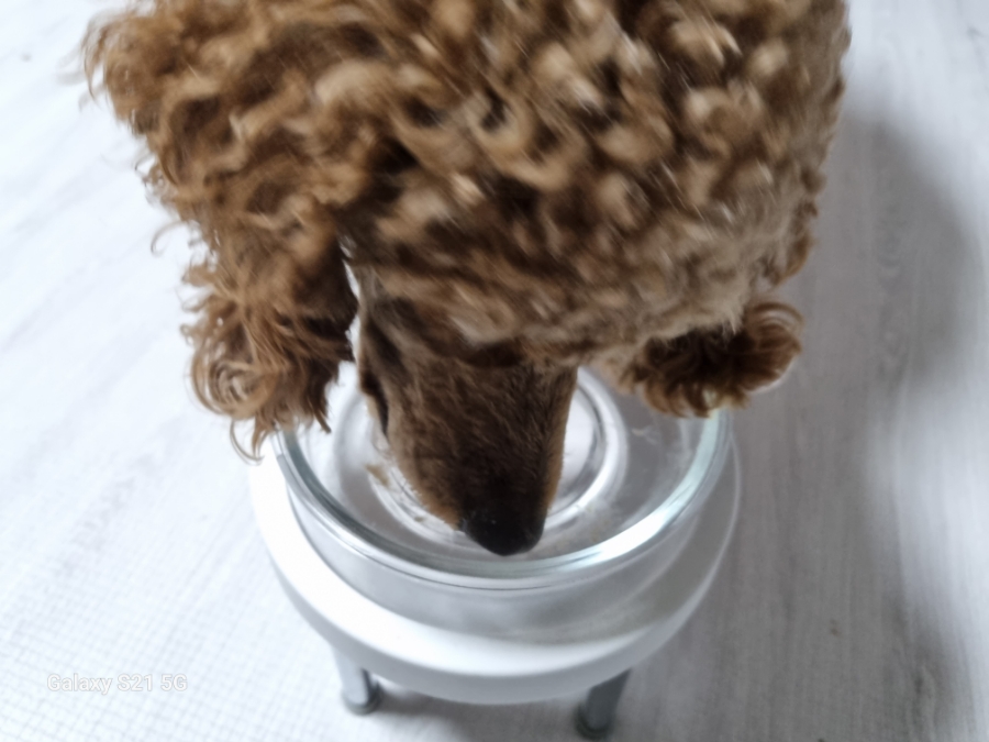 (주)인섹트바이오텍 이미지