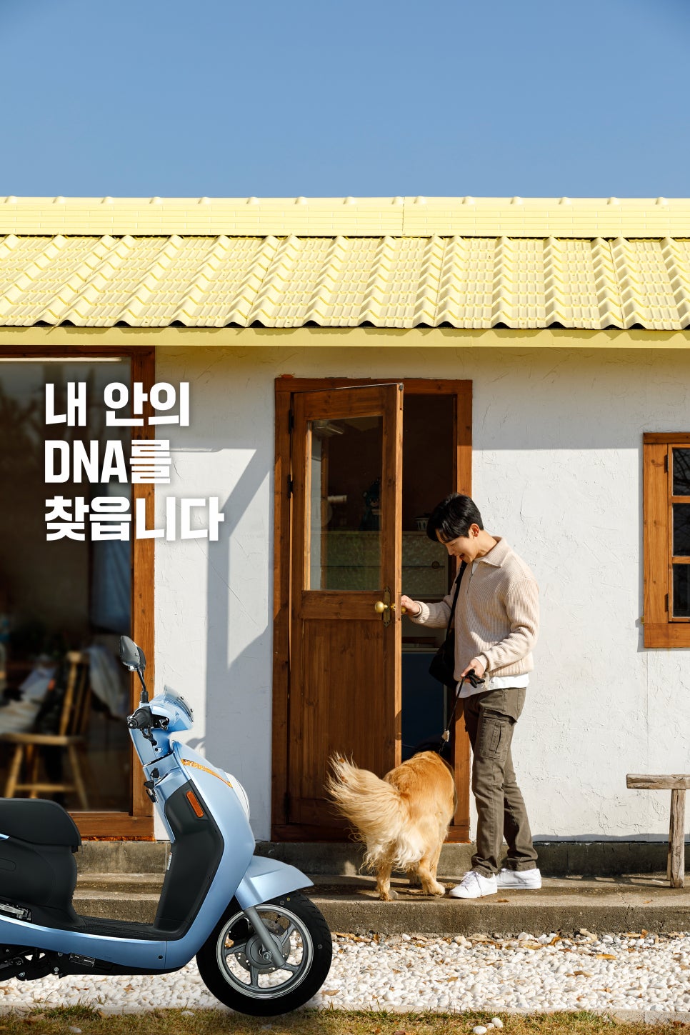 안의모터스 이미지