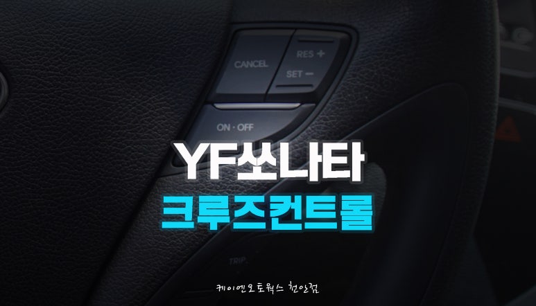 오토플러스카 이미지