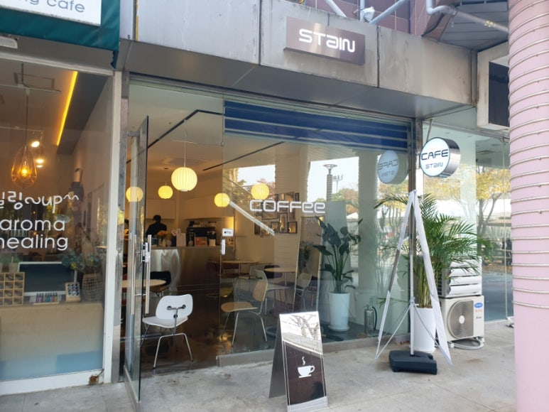 스테인동백 이미지