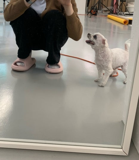 므므스튜디오 이미지