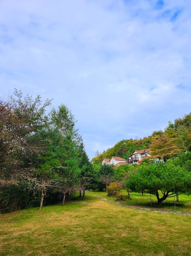 단양숲속의정원펜션 이미지