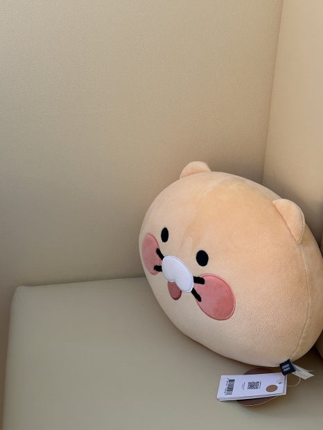 라빵드리쯔 이미지