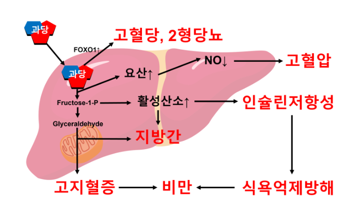 달콤사냥꾼 이미지