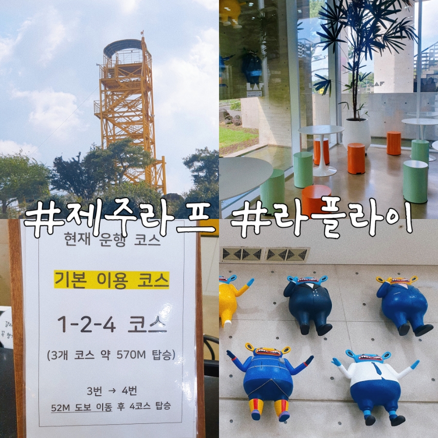 라플라이 이미지