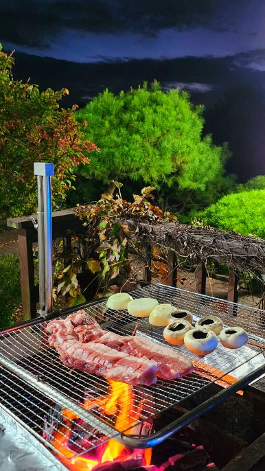 단양숲속의정원펜션 이미지