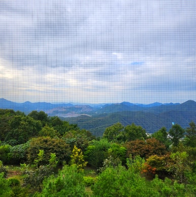 단양숲속의정원펜션 이미지