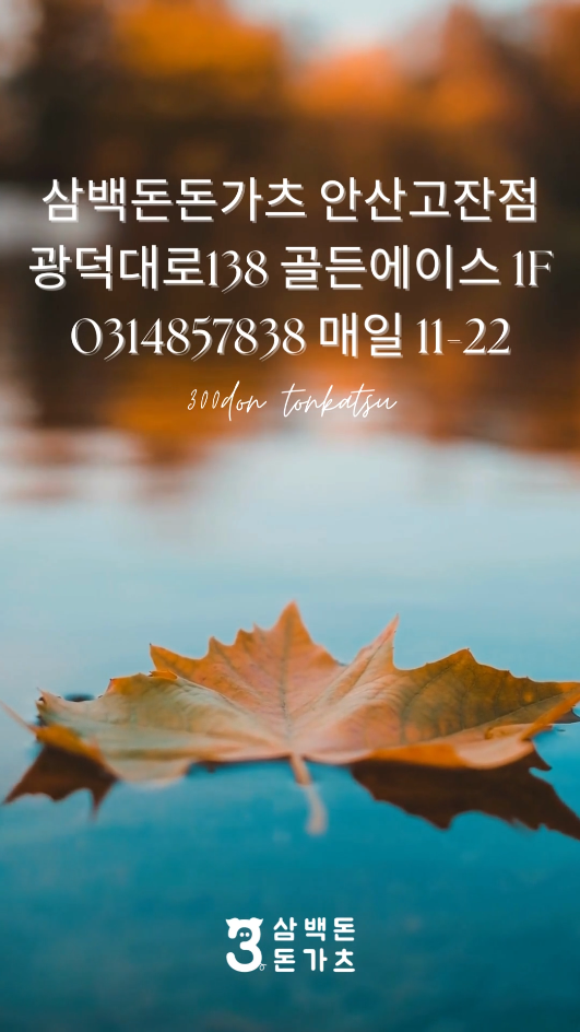 삼백돈돈가츠 이미지