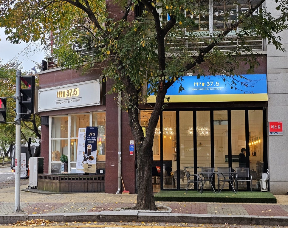 37.5일산 이미지