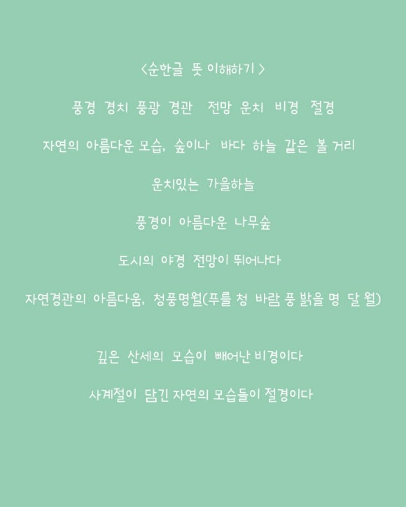 아침의숲 이미지