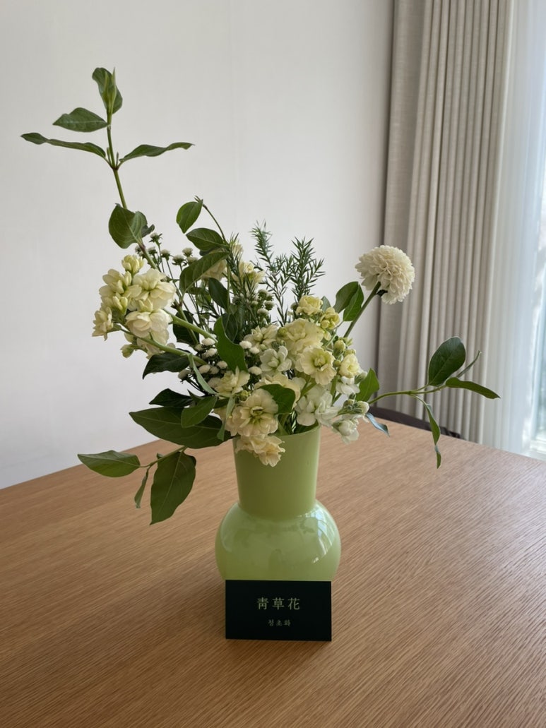 청초화 이미지