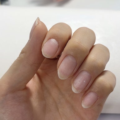 네일미우 이미지