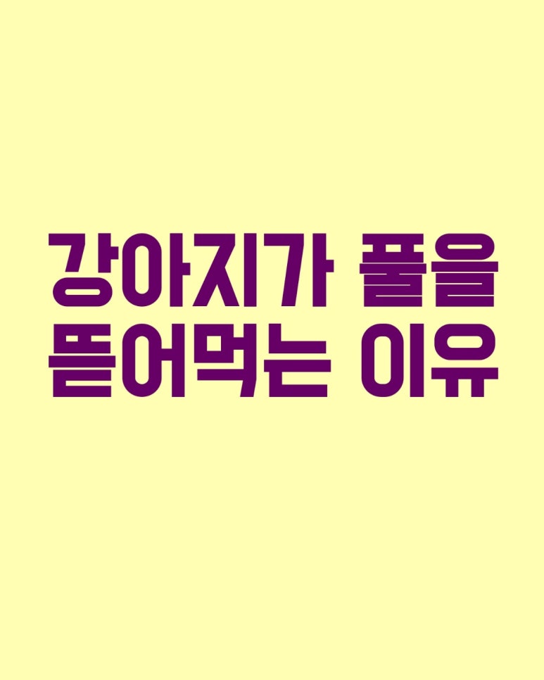 강아지가 풀을 뜯어먹는 이유