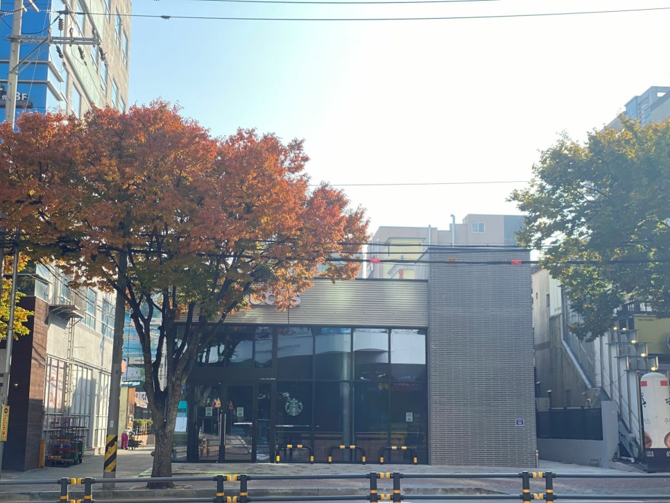 스타벅스신매역점 이미지