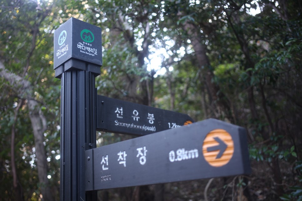 통영나폴리꿀빵 이미지