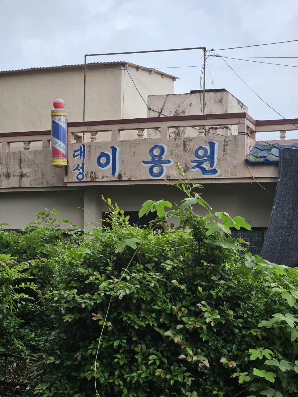 대성이용원 이미지