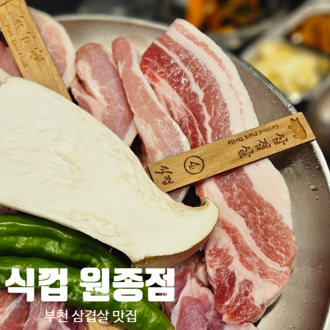 식껍원종점 이미지