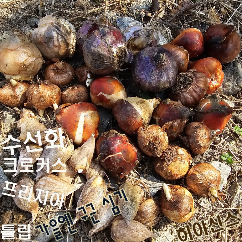 유하의정원 이미지