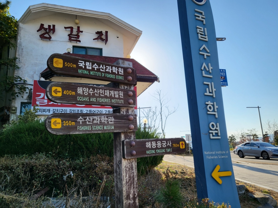 O.K수산 이미지