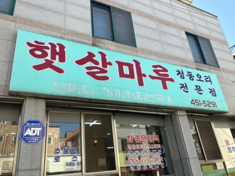 햇살마루청둥오리 이미지