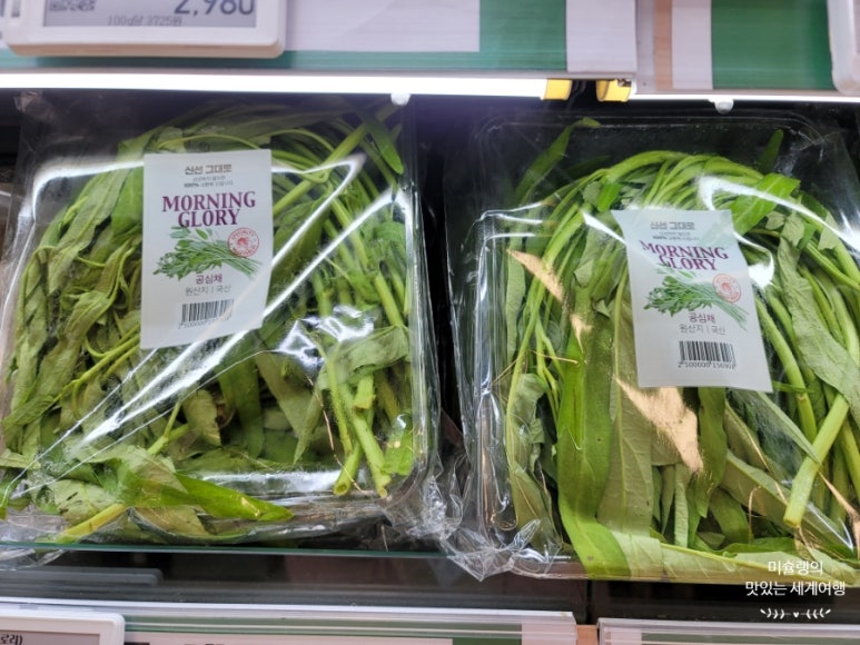 모닝글로리순천 이미지