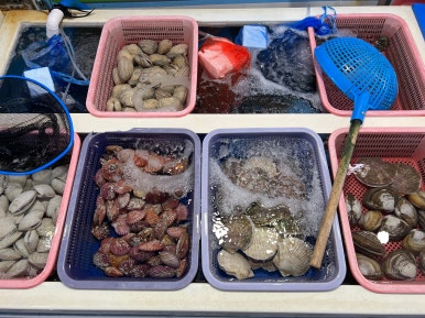 베드로수산물회센타 이미지