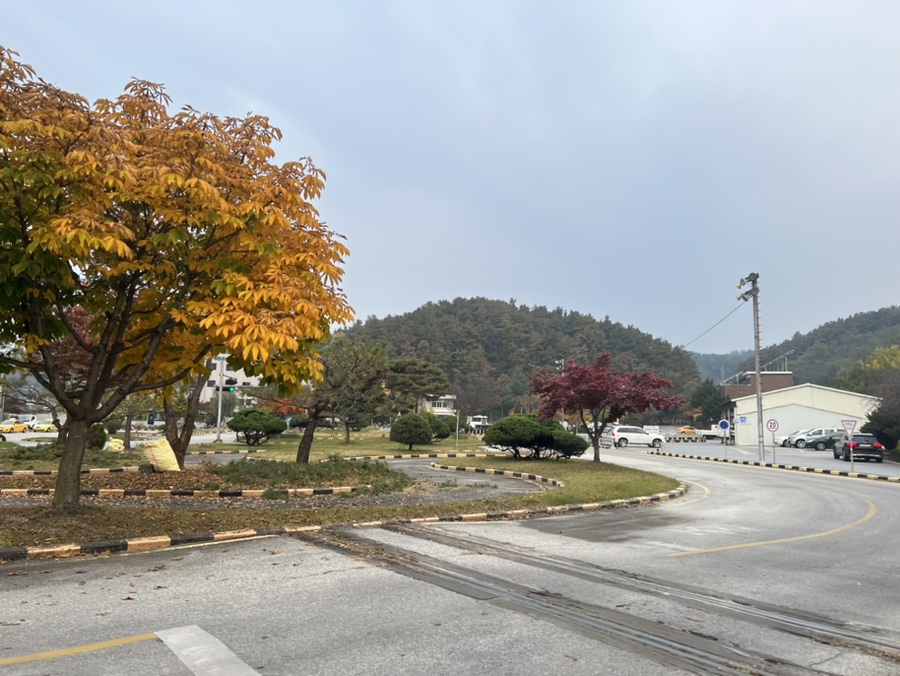 제천현대자동차운전전문학원 이미지