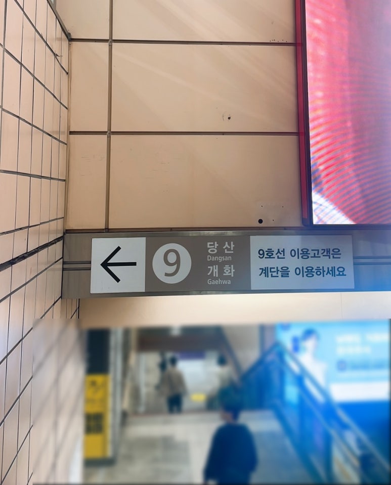 포니쁘니 이미지