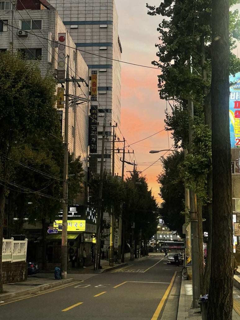 가락노래빠 이미지