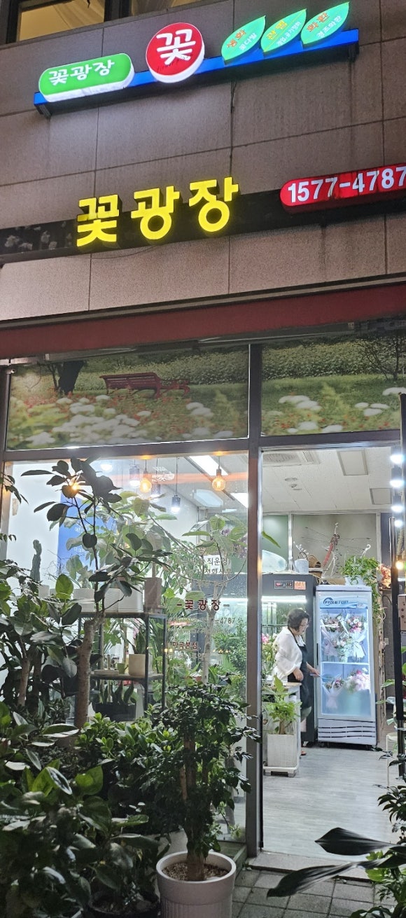 마곡꽃광장 이미지